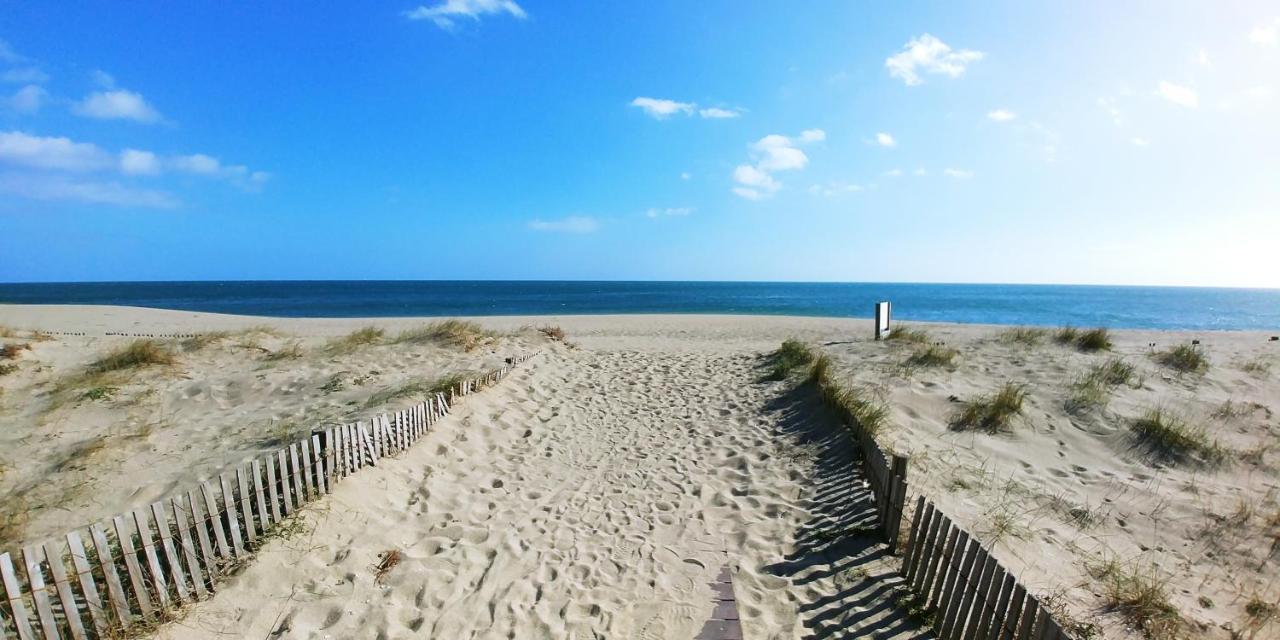 Vue Mer Panoramique Wifi Gratuit Le Barcarès Eksteriør bilde