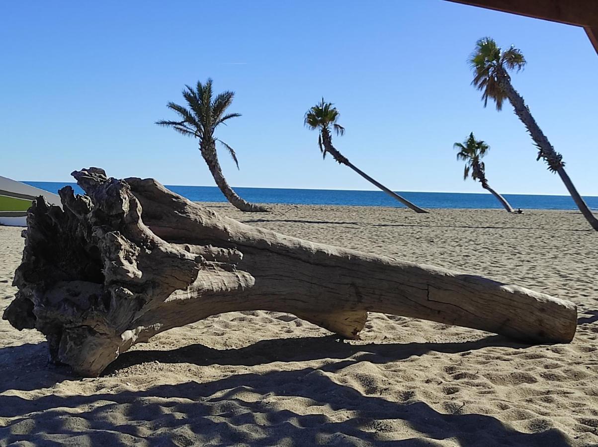 Vue Mer Panoramique Wifi Gratuit Le Barcarès Eksteriør bilde