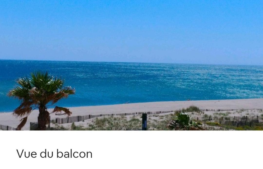 Vue Mer Panoramique Wifi Gratuit Le Barcarès Eksteriør bilde